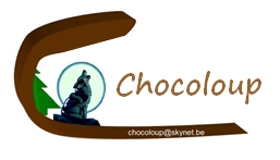 Logo de Chocoloup.be